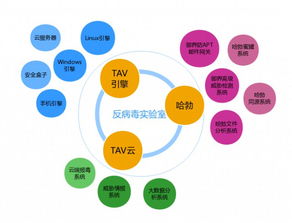 騰訊手機管家在AVC 2018年度安卓殺軟檢測中綻放光芒，檢測率再創新的卓越